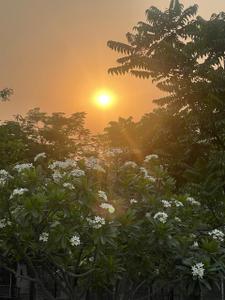 Image of 5335 Sq.ft 5 BHK Villa for sale in Godrej Golf Link, Jaypee Greens, Greater Noida for Rs. 115000000