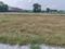 Dasna Plot View 1