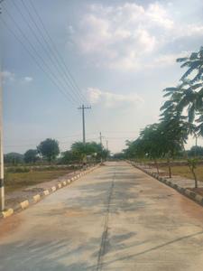 Image of 240 Sq.ft Residential Plot / Land for sale in Century Nature City, Shadnagar, Ranga Reddy for Rs. 5500003