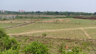 Chandaka Plot View 2
