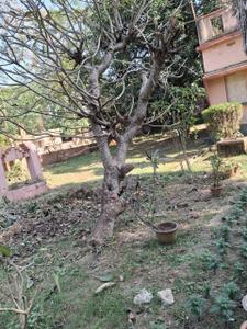 Image of 20418 Sq.ft 4 BHK Farm House for sale in Santiniketan, Bolpur-Santiniketan for Rs. 20000000