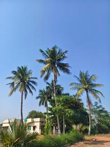 Image of 6000 Sq.ft Residential Plot / Land for sale in Paridhi Nidhivan Farm, Tatibandh, Raipur for Rs. 2850000
