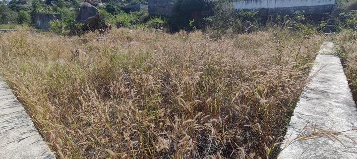 Bhuvi Sagar Hills Main Image 1