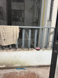 Balcony Image of 1200 Sq.ft 2 BHK Apartment / Flat for rent in Rainbow Pebbles, Bavdhan Pune for Rs. 34000