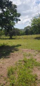 Image of 2000 Sq.ft Residential Plot / Land for sale in Treetopia Phase 3, Jadhavwadi, Saswad, Pune for Rs. 8600000