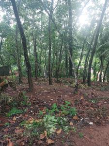 Image of 1335 Sq.ft Residential Plot / Land for sale in Kulasekharam, Thiruvananthapuram for Rs. 16500000