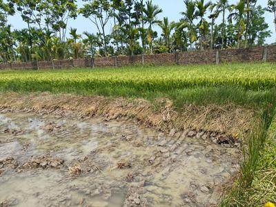 Sonarpur Plot View 2