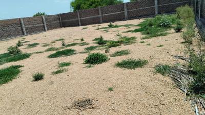 Image of 450 Sq.ft Residential Plot / Land for sale in Moinabad, Hyderabad for Rs. 15400000