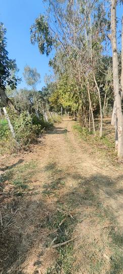 Bijopuri Main Image 1