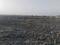 Sarde Plot View 2