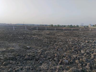 Sarde Plot View 2