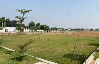 Sector 36 Plot View 1