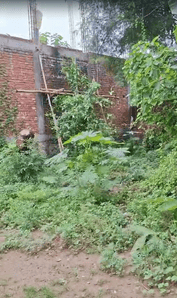 Image of 928 Sq.ft Residential Plot / Land for sale in Nagwa Lanka, Varanasi for Rs. 5600100