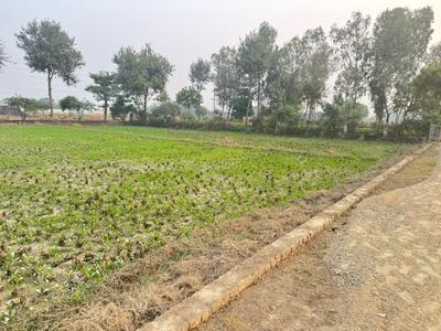 Image of 1000 Sq.ft Residential Plot / Land for sale in Ram Nagar, Varanasi for Rs. 2200000