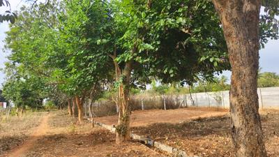 Image of 1200 Sq.ft Residential Plot / Land for sale in Hancharahalli Village, Bengaluru for Rs. 7440006