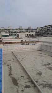 Image of 2300 Sq.ft 3 BHK Independent House for rent in Rohan Mithila, Viman Nagar, Pune for Rs. 75000