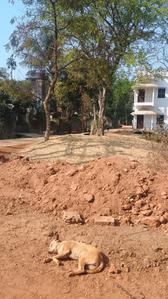 Image of 8640 Sq.ft Residential Plot / Land for sale in Jagannath Hiyar Majhe, Santiniketan, Bolpur-Santiniketan for Rs. 10000000