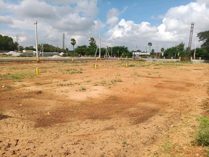 Golden City Main Image 1