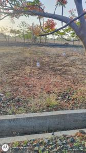 Image of 1200 Sq.ft Residential Plot / Land for sale in Hagargi, Gulbarga for Rs. 1500000