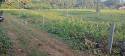 Image of 4356 Sq.ft Residential Plot / Land for sale in Katapady, Udupi for Rs. 2100000