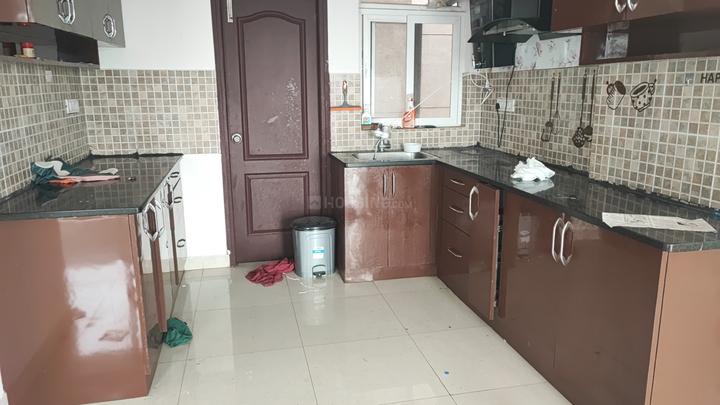 SJR Blue Waters Main Image 1