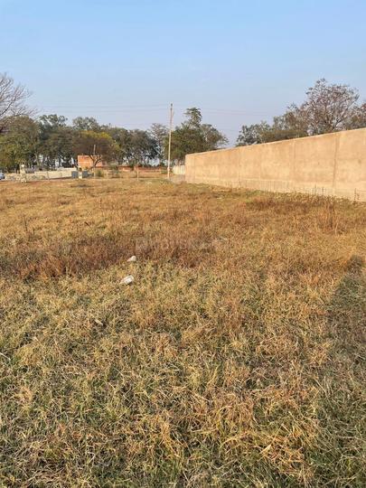 Nawabganj Main Image 1