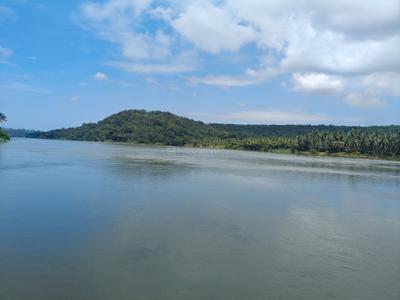 Image of 126324 Sq.ft Residential Plot / Land for sale in Vamanjoor, Mangalore for Rs. 53650000