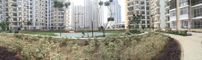 Image of 1385 Sq.ft 3 BHK Apartment / Flat for rent in Prateek Wisteria, Sector 77, Noida for Rs. 41000