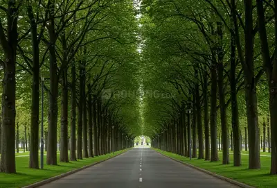 Image of 1200 Sq.ft Residential Plot / Land for sale in Nelamangala, Bengaluru for Rs. 6960000