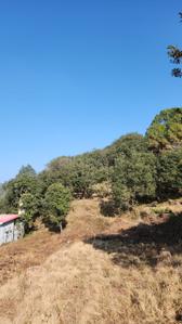 Image of 1080 Sq.ft Residential Plot / Land for sale in Mukteshwar, Nainital for Rs. 2799904