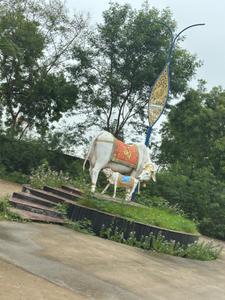Image of 1000 Sq.ft Residential Plot / Land for sale in Old Dhamtari Road, Raipur for Rs. 2900000