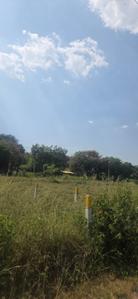 Image of 1150 Sq.ft Residential Plot / Land for sale in Tejaji Nagar, Indore for Rs. 2000000