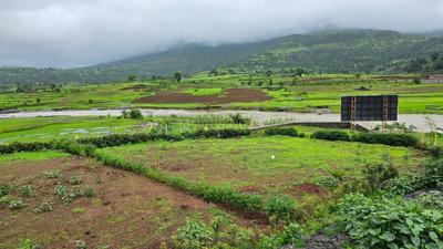 Lake view Estate igatpuri Plot View 3