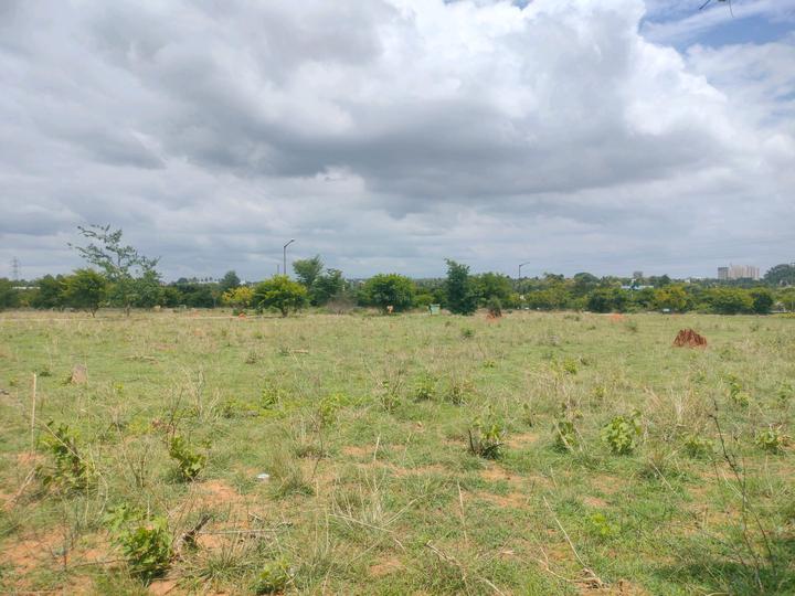 Marsur Main Image 1