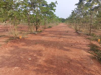 Revidi Plot View 3