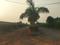 Mundara Plot View 2