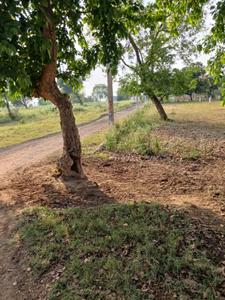 Image of 1000 Sq.ft Residential Plot / Land for sale in Sai Vatika, Danapur, Patna for Rs. 1900000