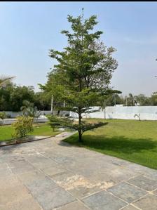 Image of 10500 Sq.ft Residential Plot / Land for sale in Jaspur, Vadodara for Rs. 28500000
