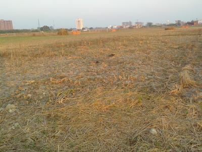 Singhpur Plot View 3