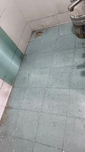 Image of 809 Sq.ft 2 BHK Apartment / Flat for rent in Borivali West, Mumbai for Rs. 45000