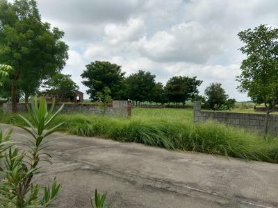 Sanand GIDC Plot View 2