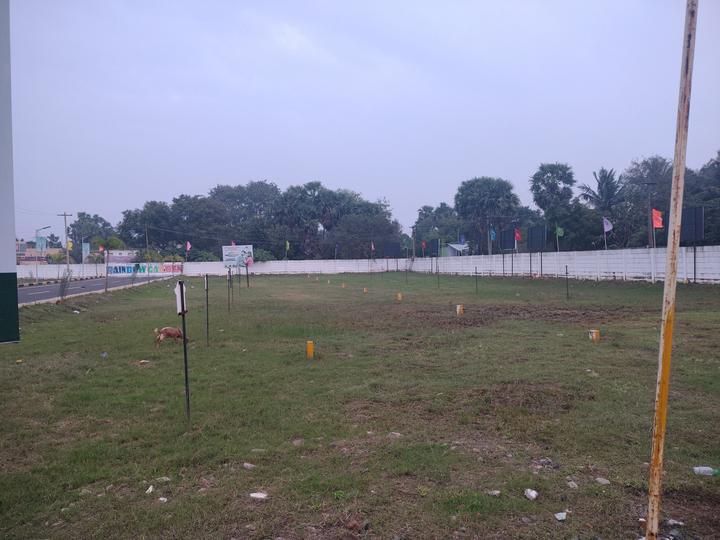 Rainbow garden Main Image 1