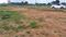 Vinayaka Nagar Plot View 3