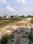 Swapnabhumi Internal Roads 1
