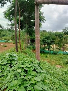 Image of 87120 Sq.ft Residential Plot / Land for sale in  Jayaram Layout, Ragihalli State Forest, Bengaluru for Rs. 25000000