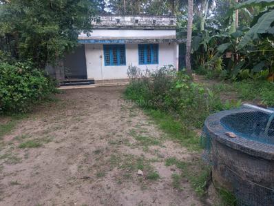Image of 1000 Sq.ft 2 BHK Independent House for sale in Thrippunithura, Kochi for Rs. 14500000