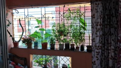 Balcony Image of 1130 Sq.ft 3 BHK Apartment / Flat for sale in Starlite Sunny Seasons, Narendrapur Kolkata for Rs. 5200000