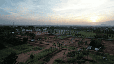 logas Plot View 2