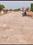 Vatika Main Image 1
