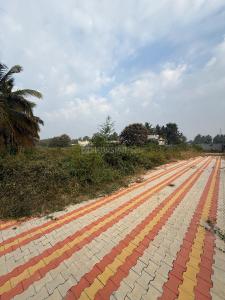 Image of 21544 Sq.ft Residential Plot / Land for sale in Gadenahalli, Bengaluru for Rs. 238000000
